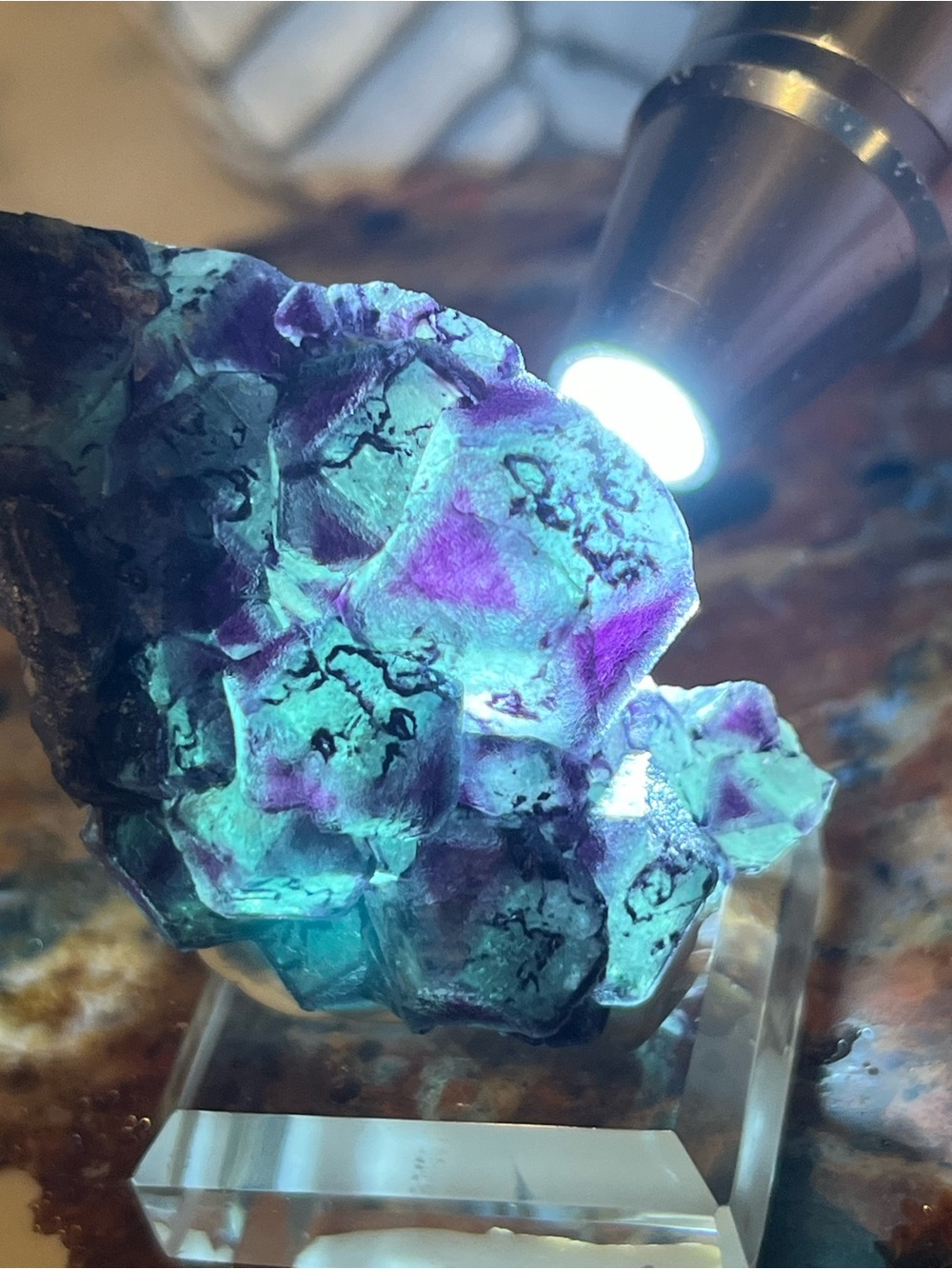 GORGEOUS Okorusu Fluorite